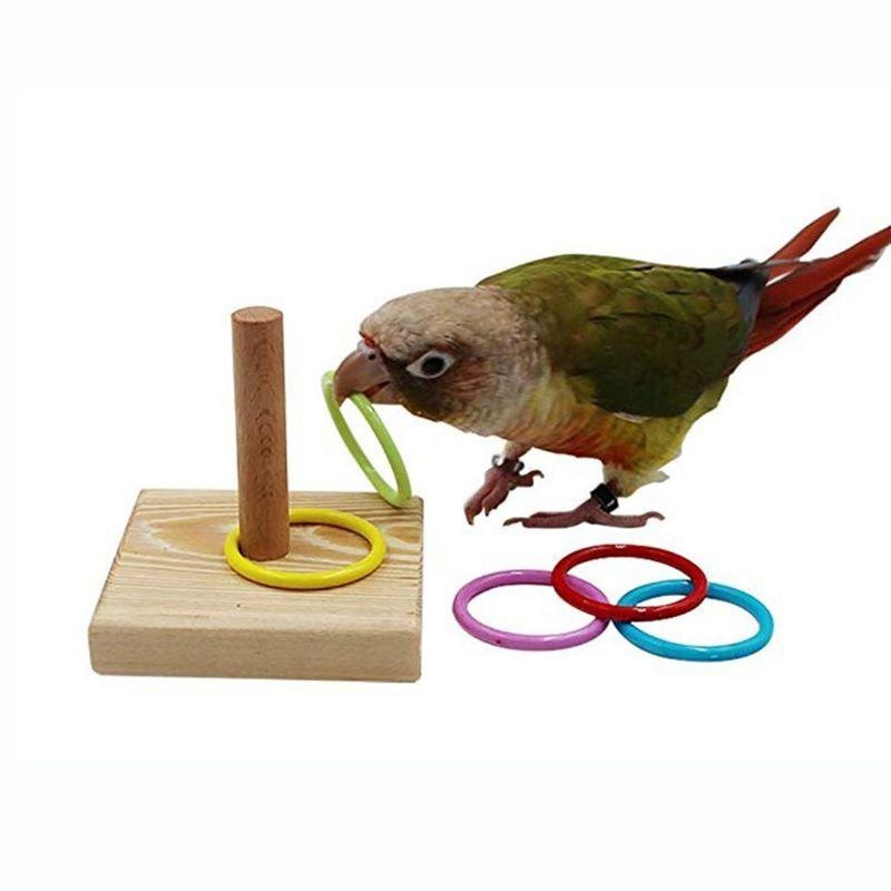 Bird Training Ring Toy Parrot  – Gymnastic Ring Wood recenzja i cena