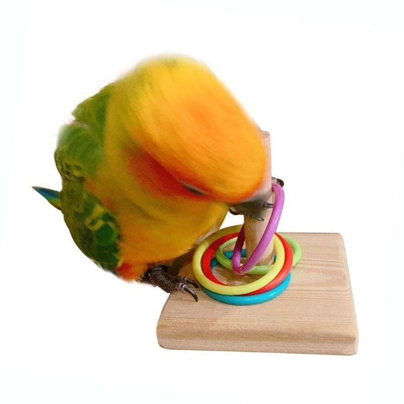 Bird Training Ring Toy Parrot  – Gymnastic Ring Wood recenzja i cena