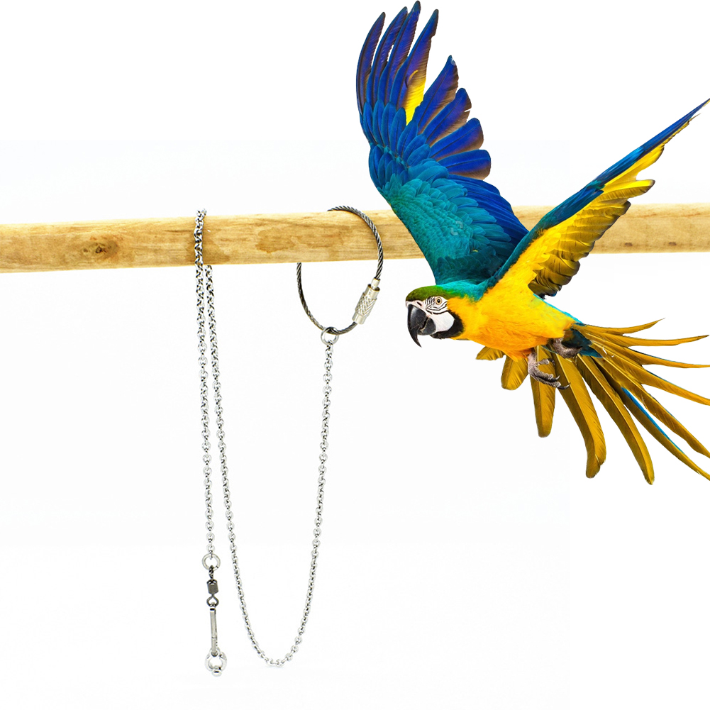 1Pcs Pet Parrot Leg Ring Ankle – Gymnastic Ring Wood recenzja i cena