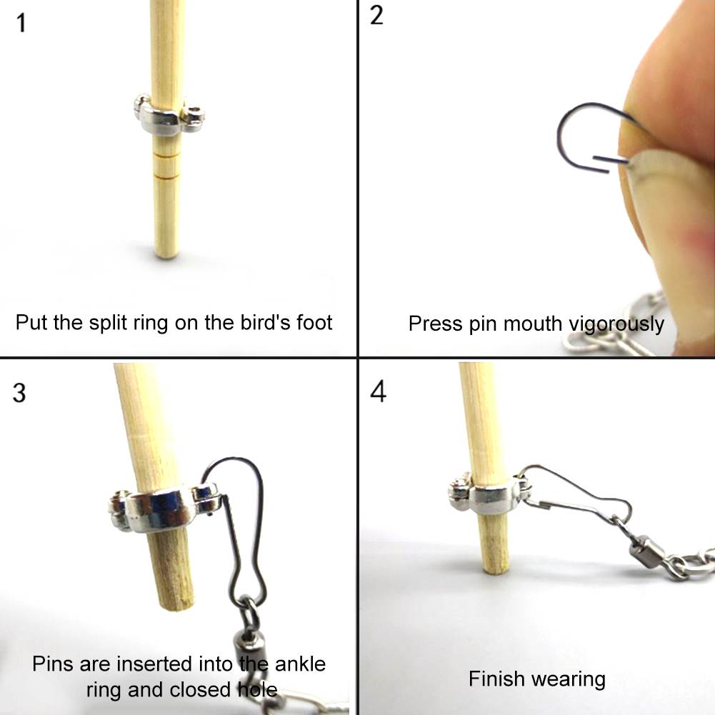 1Pcs Pet Parrot Leg Ring Ankle – Gymnastic Ring Wood recenzja i cena